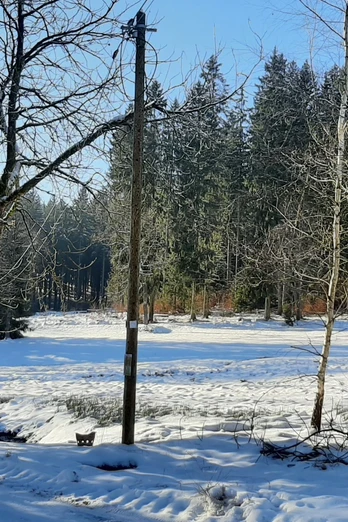 An der Quelle Bad Reiboldsgrün im Winter