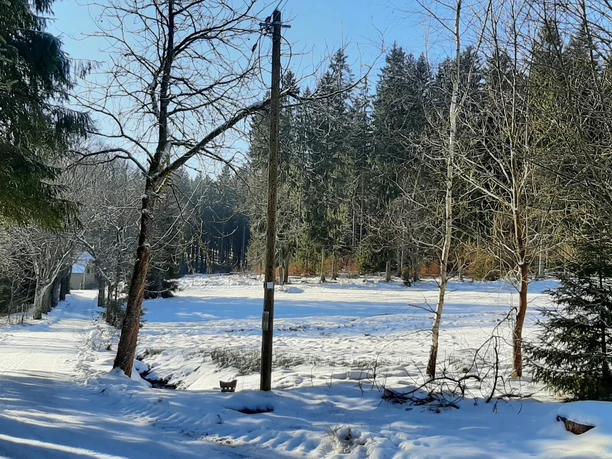 An der Quelle Bad Reiboldsgrün im Winter