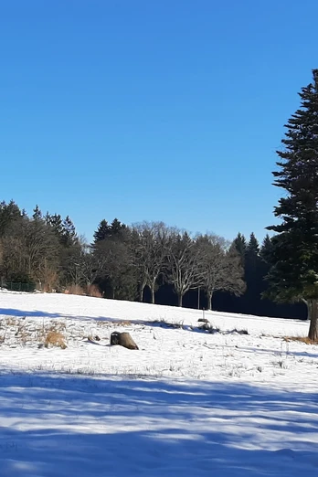 Winter in Bad Reiboldsgrün