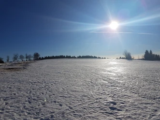 Schönheide im Winter