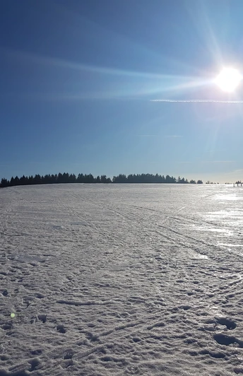 Schönheide im Winter