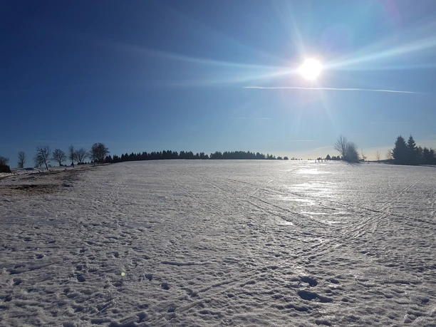 Schönheide im Winter