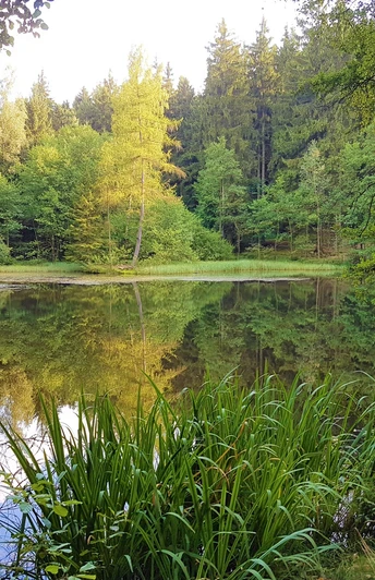 Gewässererlebnispfad Eubabrunn