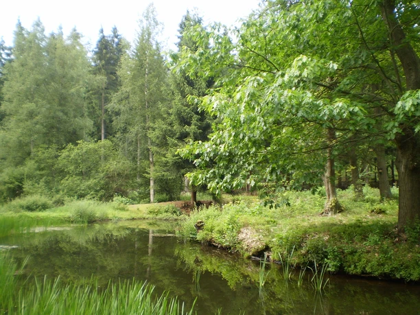 Ringwallinsel (Altes Schloss) bei Adorf