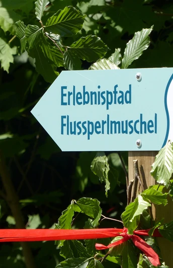 Erlebnispfad Flussperlmuschel