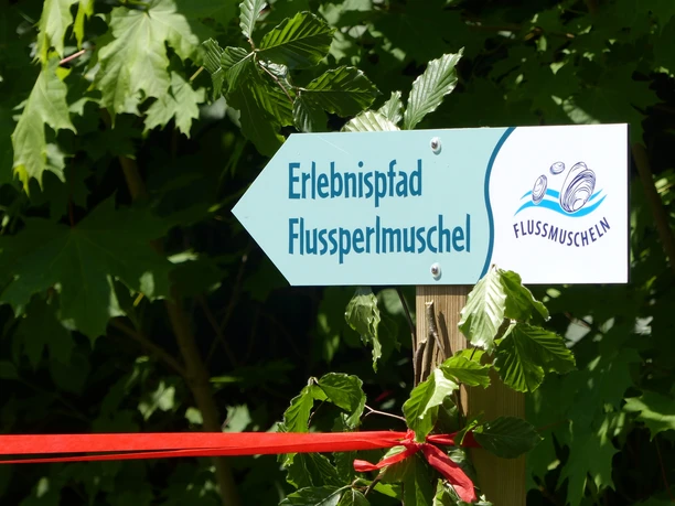 Erlebnispfad Flussperlmuschel