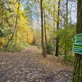 Waldquellenrundweg Langenwolschendorf - Wegweiser