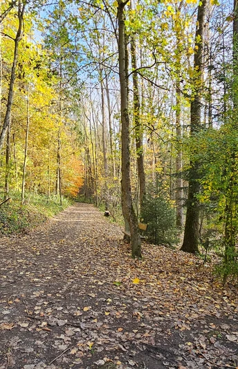 Waldquellenrundweg Langenwolschendorf - Wegweiser