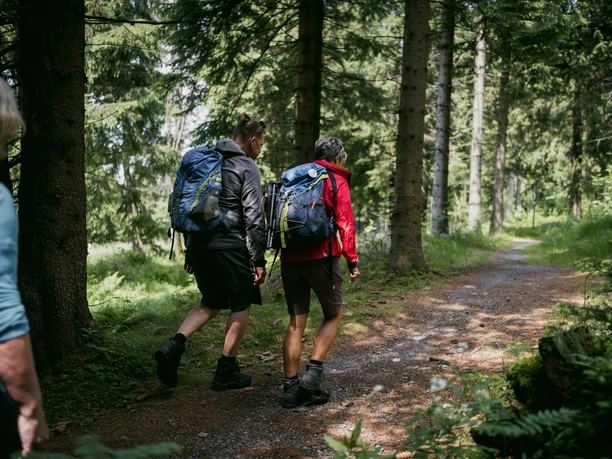 Wanderung im Miriquidi