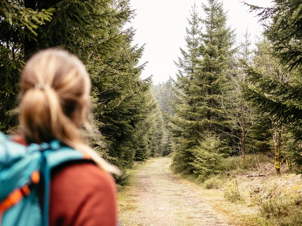 Wanderweg im Grünen