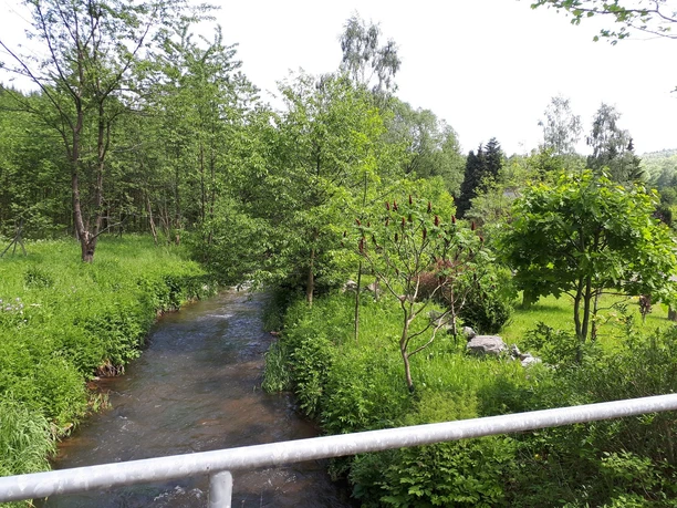 Am Pöhlwasser in Kühberg