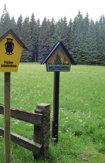 Himmelswiese im NSG Halbemeile