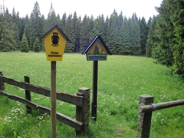 Himmelswiese im NSG Halbemeile