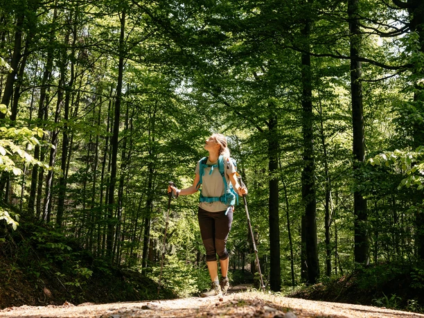 Grün wohin man schaut