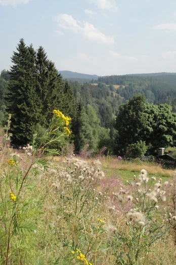 Johanngeorgenstadt - Blick ins Böhmische