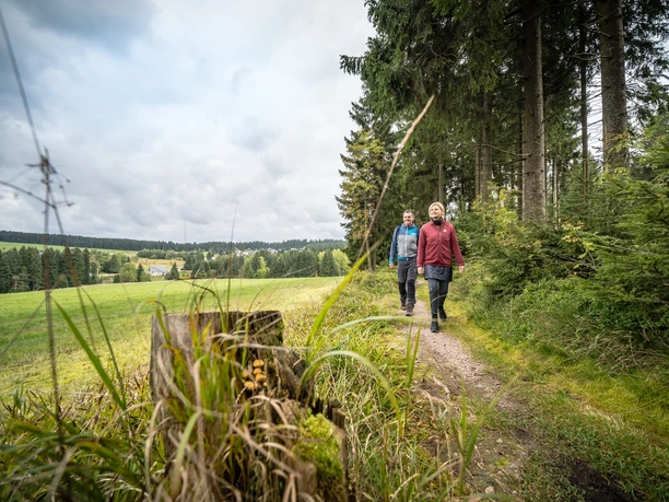 auf dem Weg nach Carlsfeld