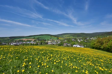 Sommerwiese mit Blick auf Erlbach