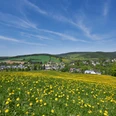 Sommerwiese mit Blick auf Erlbach