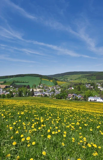 Sommerwiese mit Blick auf Erlbach