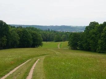 Wiesenweg bei Bad Köstritz