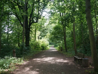 Im Köstritzer Park