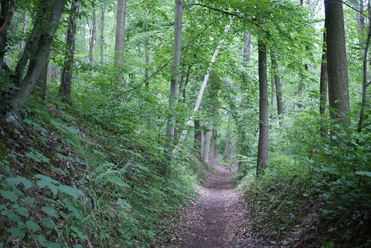 Eselsweg bei Bad Köstritz