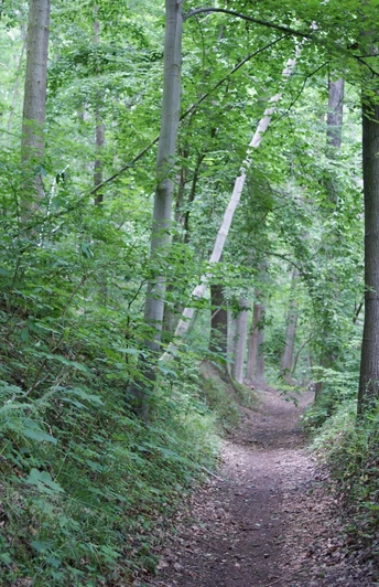 Eselsweg bei Bad Köstritz