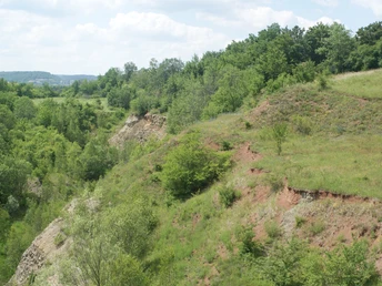 Steinbruch bei Bad Köstritz