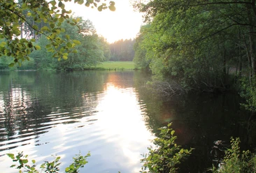 Schwarze Teich bei Burkersdorf