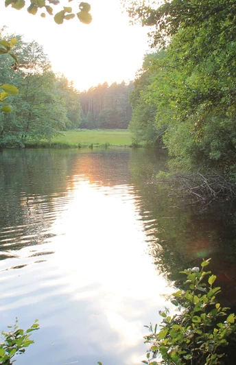Schwarze Teich bei Burkersdorf