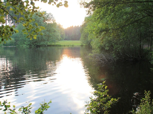 Schwarze Teich bei Burkersdorf