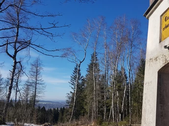 Bad Reiboldsgrün Carlsturm