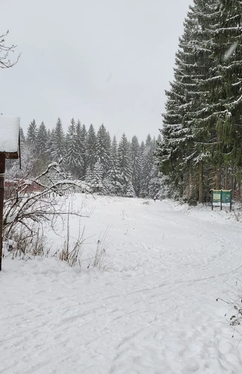 Winterwanderweg Grünheide - Start am Wanderparkplatz Waldpark Grünheide