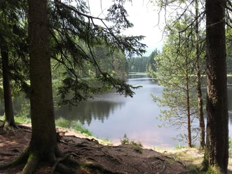 Blick auf den Vogtlandsee
