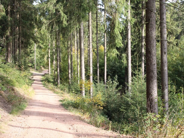 Pionierweg zum Christelgrund zwischen Thalheim und Zwönitz