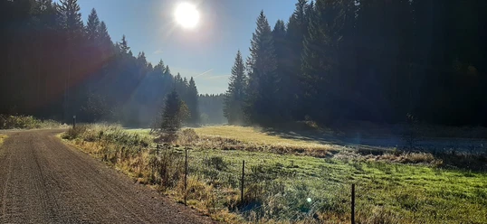 Zinsbachtal am Jungfernsprung