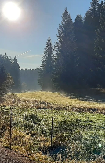 Zinsbachtal am Jungfernsprung