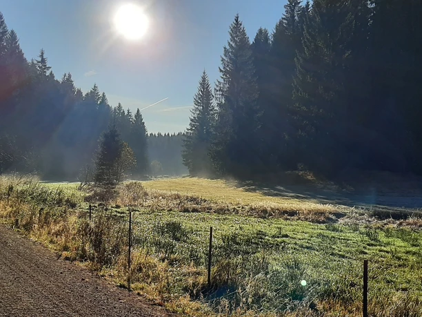 Zinsbachtal am Jungfernsprung