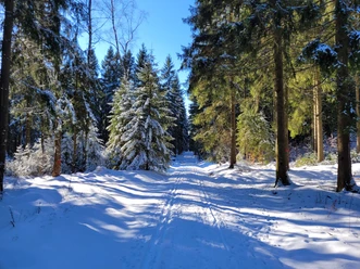 Vogtlandseeloipe