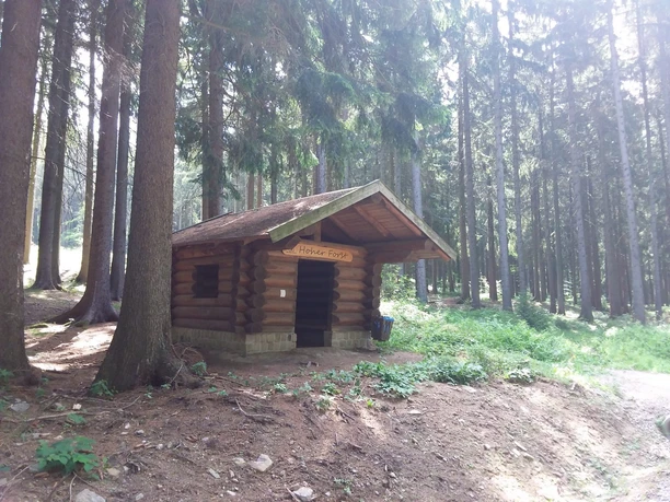 Schutzhütte am Hohen Forst