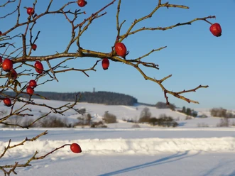 Winterlandschaft bei HInterhermsdorf