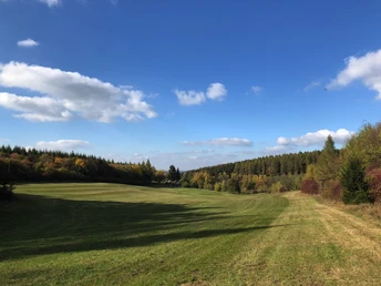 Blick auf das Jahnsgrüner Tal
