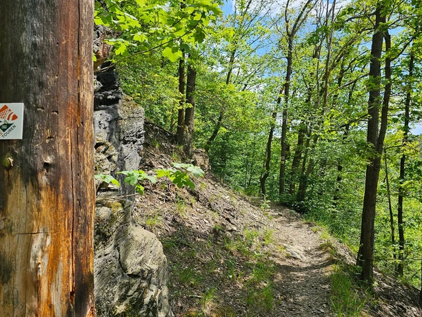 Köhlersteig Greiz