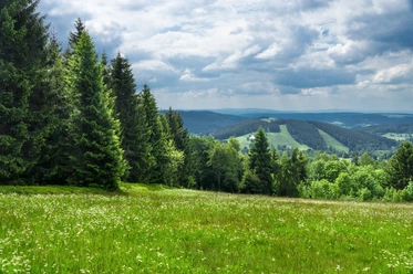 Vogtland