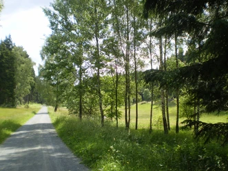 Zeidelweide