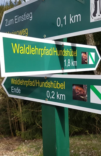Waldlehrpfad Hundshübel