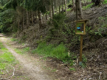 Wanderweg mit Infotafel