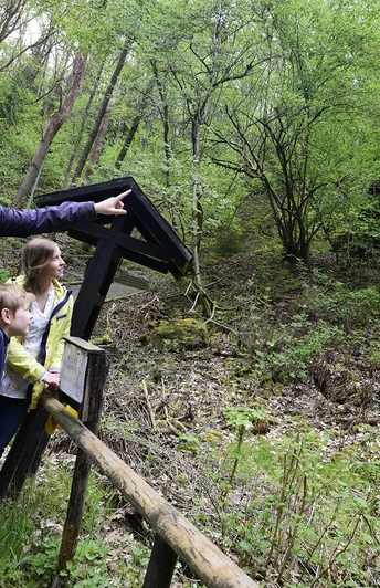 Alaunbergwerk Mühlwand