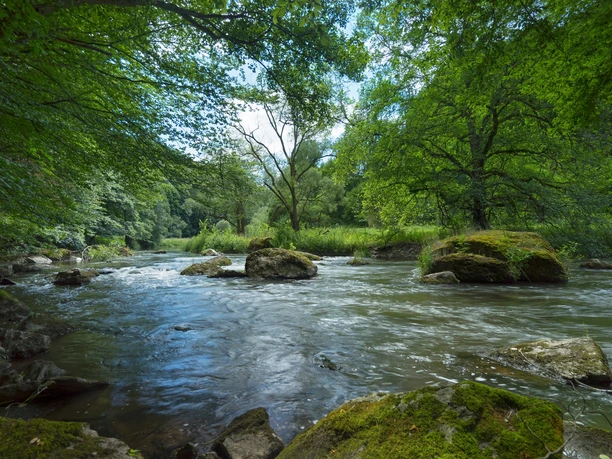 Die Weiße Elster bei Rentzschmühle