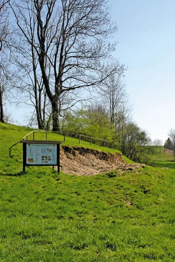 Versteinerter See Börtewitz